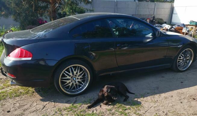 BMW e63 Murowaniec - zdjęcie 3