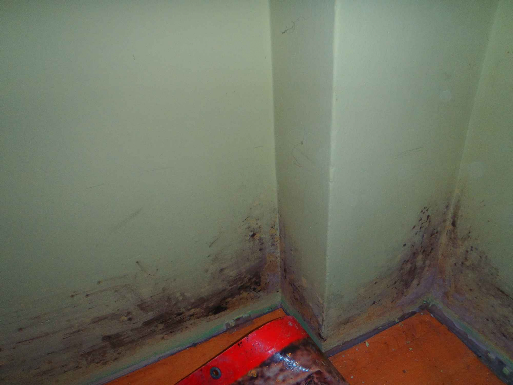 odgrzybianie pomieszcze firbau Bielsko-Biała - zdjęcie 3