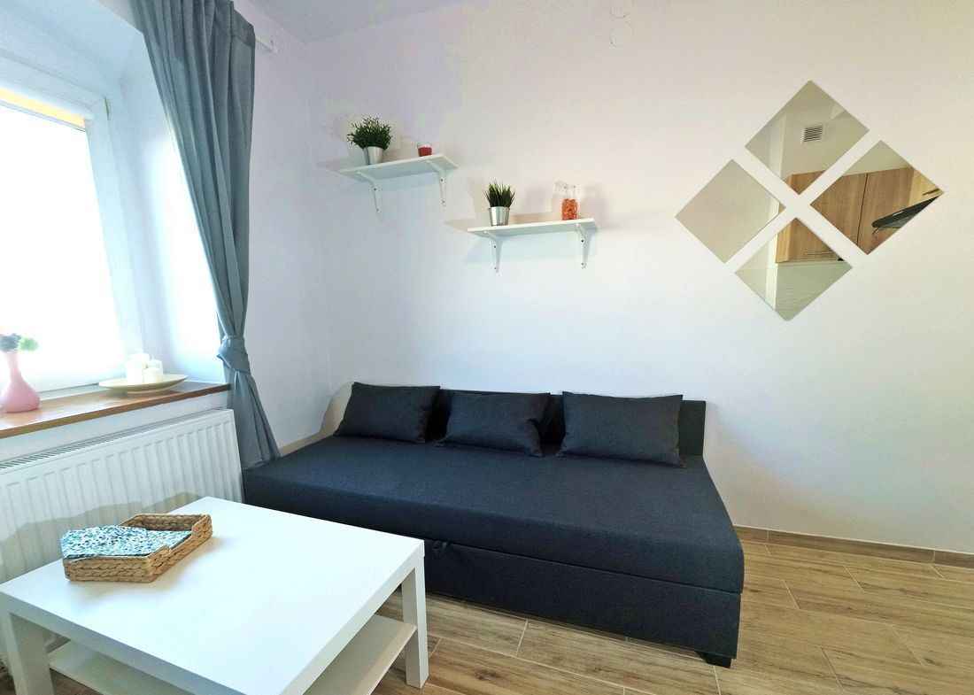 1pok, 16met, ul. Sienkiewicza PIWNICA (Wrocław) Śródmieście - zdjęcie 2