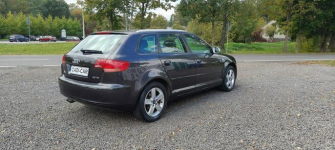 Audi A3 Super stan, pełna dokumentacja. Goczałkowice-Zdrój - zdjęcie 4