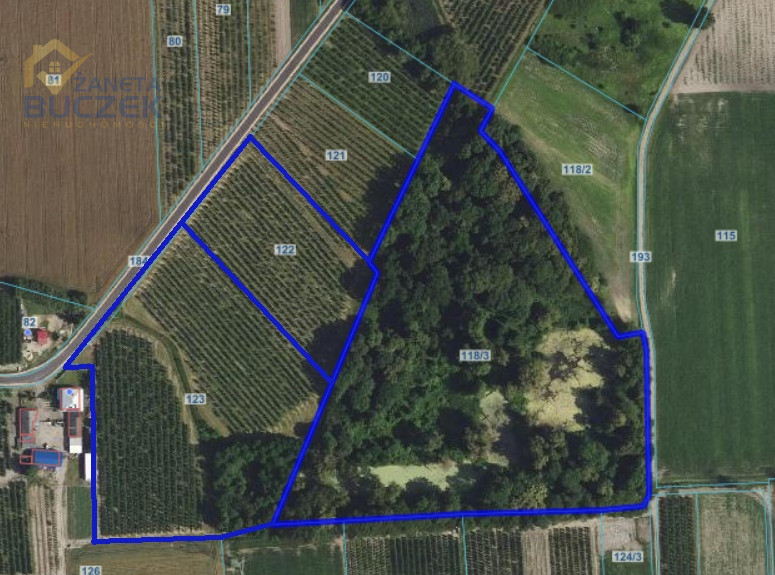 Działka na sprzedaż Sadowo Sadowo - zdjęcie 1