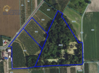 Działka na sprzedaż Sadowo