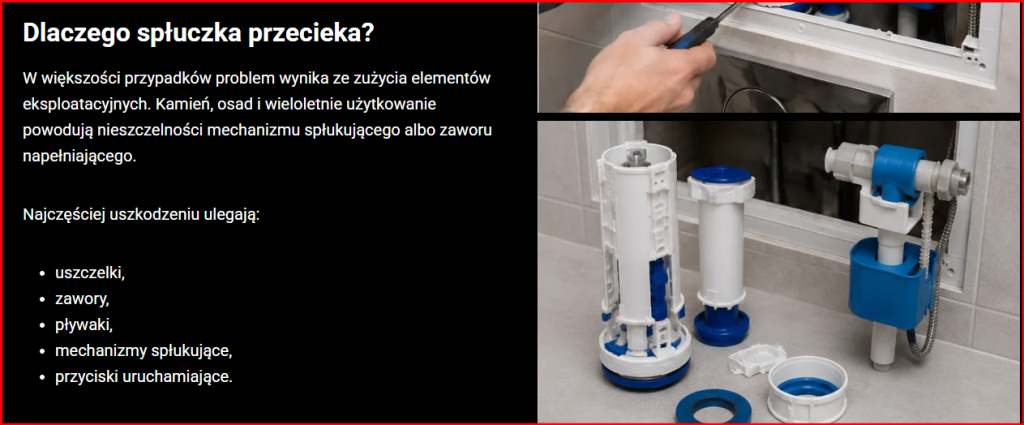 GEBERIT,serwis wc spłuczek podtynkowych i kompaktowych. Żoliborz - zdjęcie 12