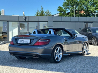 Mercedes SLK, 2016 Michałowice - zdjęcie 11