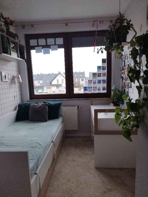 4pok, 128met, Szeregowiec TARAS/OGRÓD/GARAŻ/2014 (Mirków) Mirków - zdjęcie 6