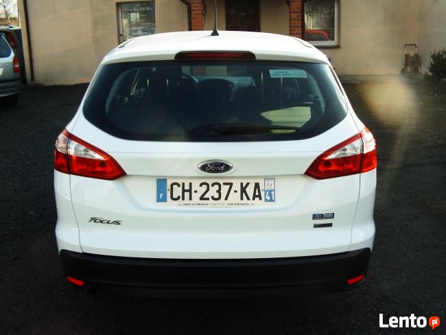 Motoryzacja / Ford Focus / Września - zdjęcie 6