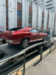 Ford Mustang 1969rok Lębork - zdjęcie 4