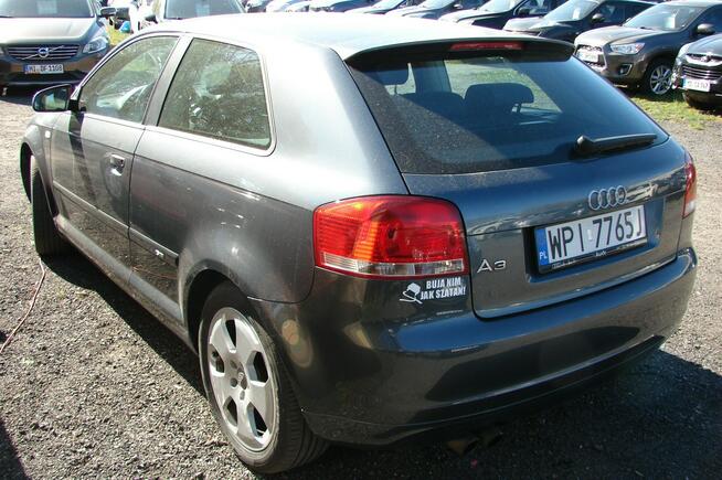 Bajeczne Audi A3 1,6 E - 116 KM Piła - zdjęcie 3