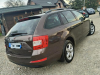 Škoda Octavia TDi*4x4*Niski przebiegm Bibice - zdjęcie 2