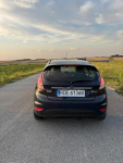 Ford Fiesta Mk 7 Róża - zdjęcie 4