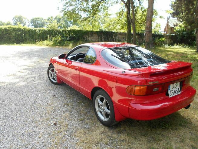 Celiica Wierzchucino - zdjęcie 3