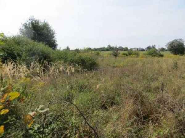 Syndyk sprzeda nieruchomość. Nowa Huta - zdjęcie 4