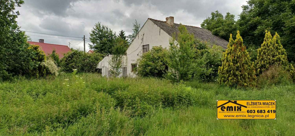 Działka z domem i możliwością jego rozbudowy - 5 km od Chojnowa Chojnów - zdjęcie 2