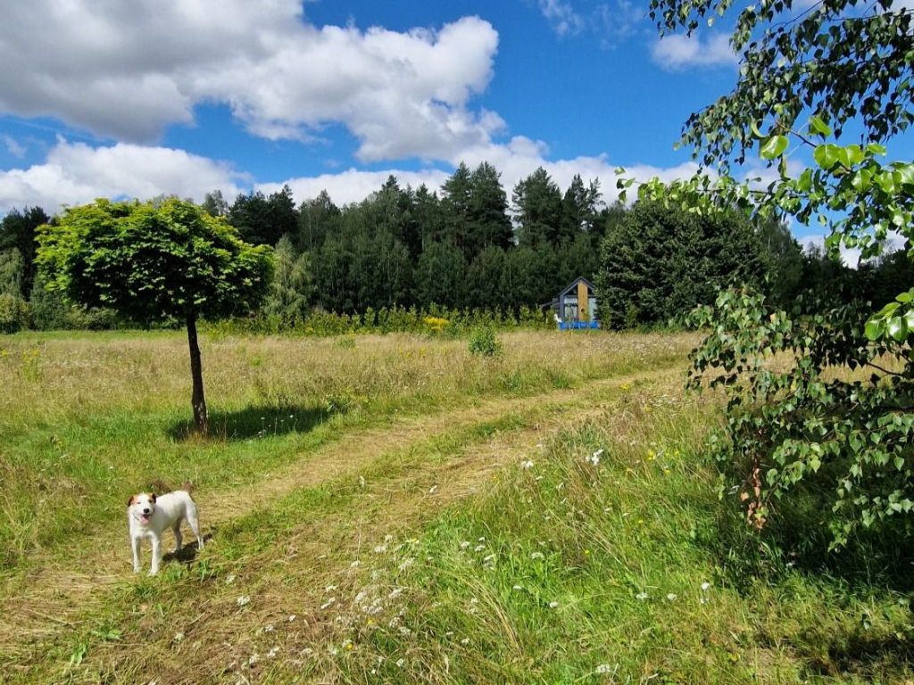 Działka budowlana Słójka Dziewiczy Ług Słójka - zdjęcie 8