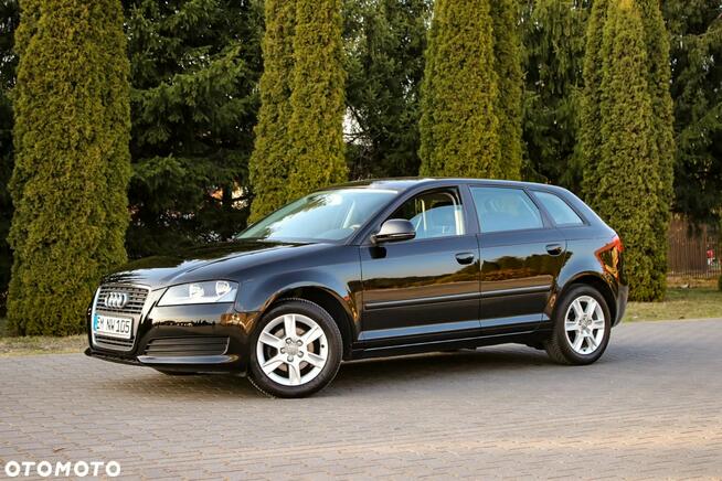 Audi A3 1.6MPI*102KM Ostrów Mazowiecka - zdjęcie 2