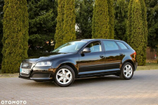 Audi A3 1.6MPI*102KM Ostrów Mazowiecka - zdjęcie 2