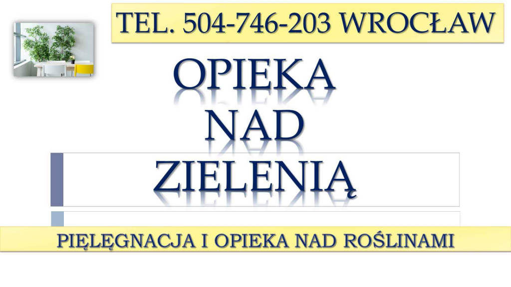 Opieka nad roślinami w biurze, Wrocław, tel 504-746-203, cennik usługi Psie Pole - zdjęcie 2