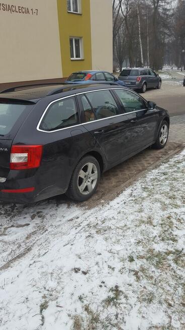 skoda octavia 1,6 tdi Oświęcim - zdjęcie 3