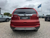 Honda CR-V Sadlno - zdjęcie 6