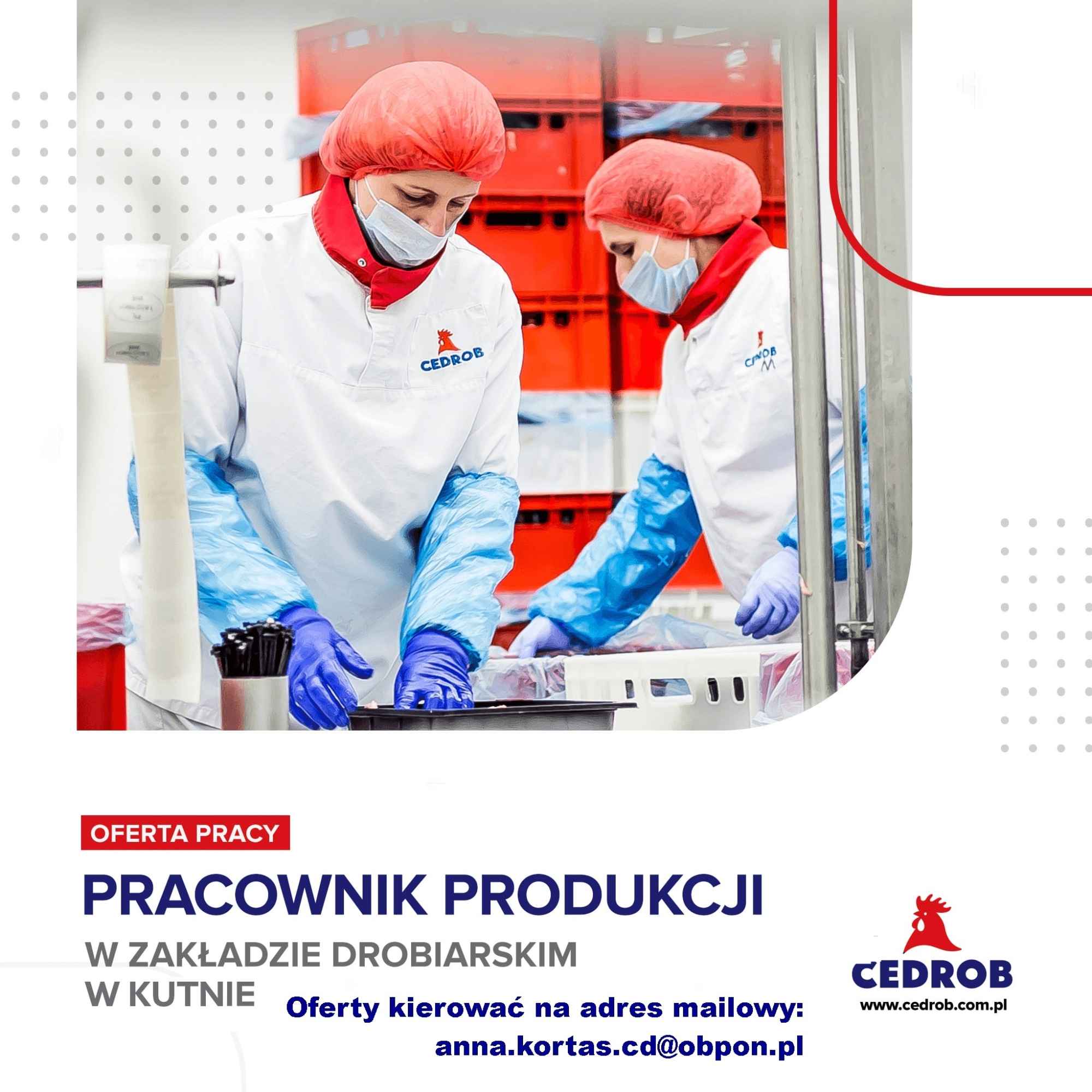 PRACOWNIK PRODUKCJI - KUTNO Kutno - zdjęcie 1