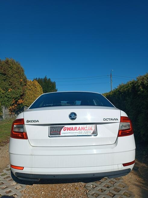 Škoda Octavia krajowa Chełm Śląski - zdjęcie 10