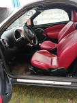 Ford Streetka 1.6.Cobrio Książenice - zdjęcie 10