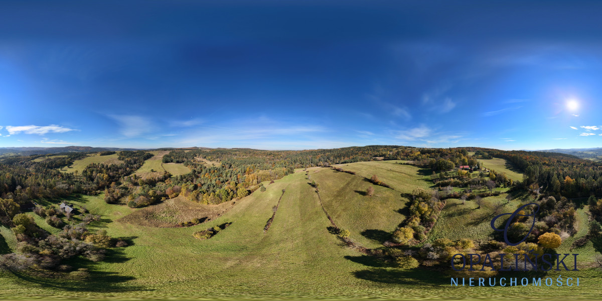 1,97 ha | Malownicza okolica | Okolice Arłamowa Gruszowa - zdjęcie 3