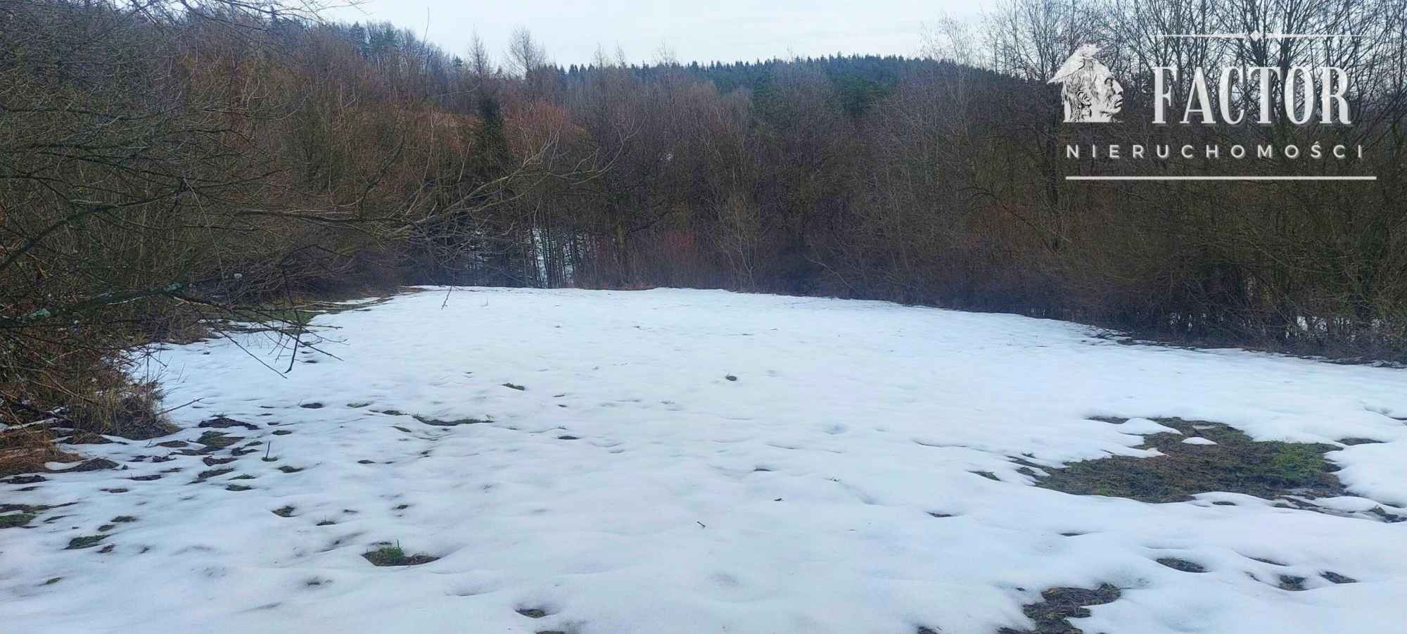 Wyjątkowa działka budowlana 92 a –Siary, gm. Sękowa 1177S/2026 Siary - zdjęcie 2