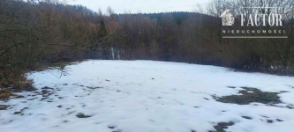 Wyjątkowa działka budowlana 92 a –Siary, gm. Sękowa 1177S/2026 Siary - zdjęcie 2