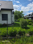 Dom kanadyjski 128 m2 Strykowo koło Steszewa Strykowo - zdjęcie 5