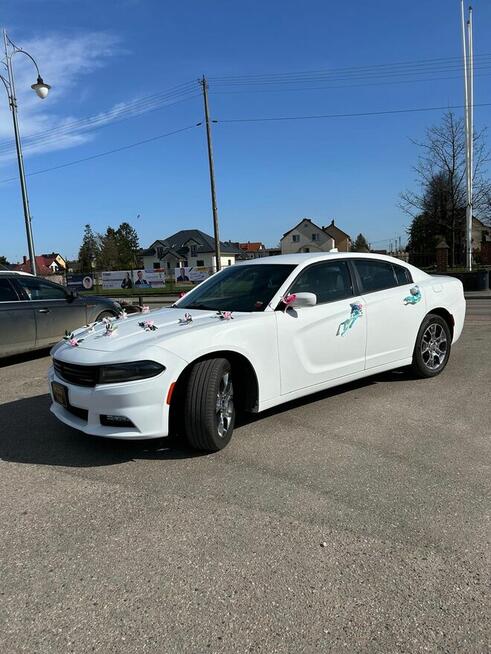 Dodge Charger samochód do ślubu Ostrołęka - zdjęcie 3
