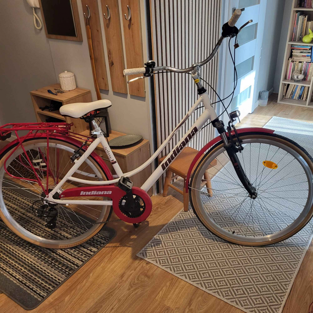 Rower damski Indiana Galaxy 28 Gdańsk - zdjęcie 1