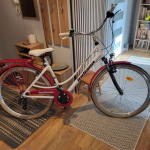 Rower damski Indiana Galaxy 28