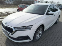 Škoda Octavia 1,5 150 KM Ambition manual-rej.2023