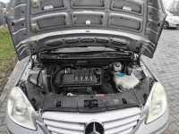 Sprzedam Marki - zdjęcie 5