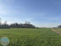 7,4 ha ziemi - idealne pod siedlisko, agroturystykę, stadninę Jaskółowo - zdjęcie 2
