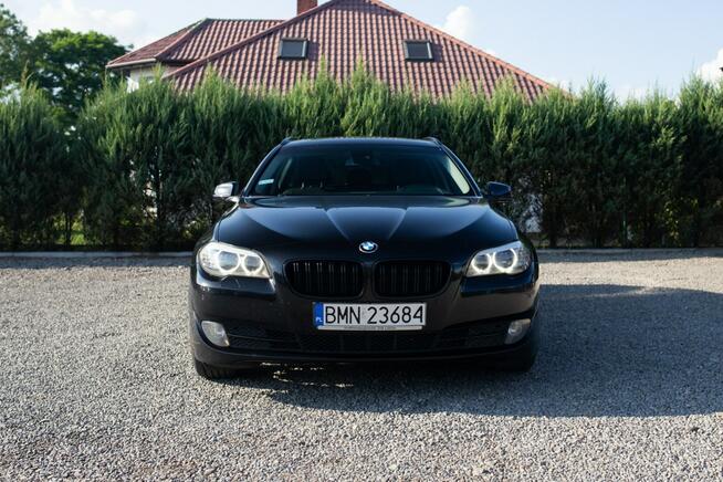 BMW 525 Lipsko - zdjęcie 2