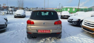 Volkswagen Taigun DSG duza navi highline panorama 4 motion Lębork - zdjęcie 6