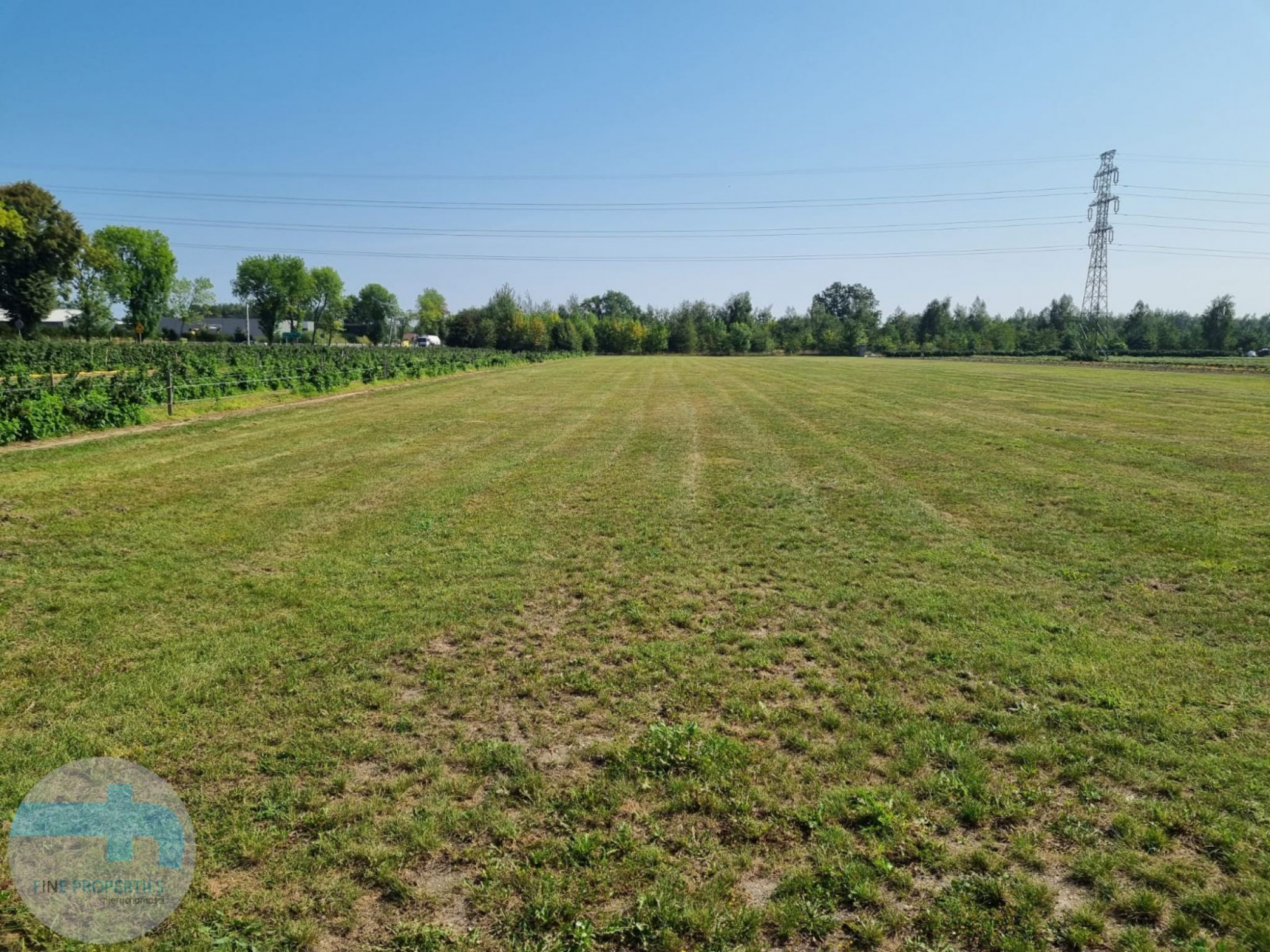 Działka usługowo przemysłowa w Dębe Dębe - zdjęcie 3