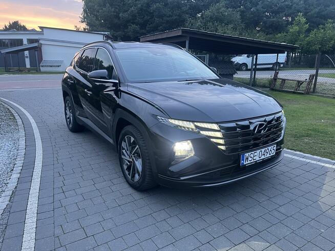 Hyundai Tucson 1.6 hybryd Plagin Nawigacja Kamera Ledy Sierpc - zdjęcie 2