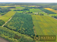 Wyjątkowa, duża działka z drzewami Karczewko - zdjęcie 11