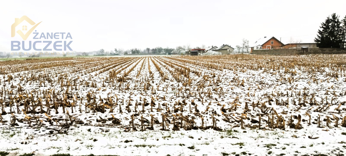Sprzedam działkę o pow. 4606 m2 w Leonowie Leonów - zdjęcie 7