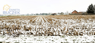 Sprzedam działkę o pow. 4606 m2 w Leonowie Leonów - zdjęcie 7