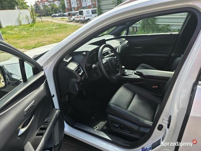 Lexus UX 250H Omotenashi /Mark Levinson Lublin - zdjęcie 7