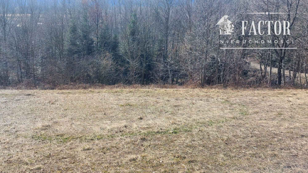 Działka budowlano-rolna 18,46 ara – Bieśnik, gm. Łużna, 1184S/2026 Bieśnik - zdjęcie 9