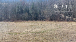 Działka budowlano-rolna 18,46 ara – Bieśnik, gm. Łużna, 1184S/2026 Bieśnik - zdjęcie 9