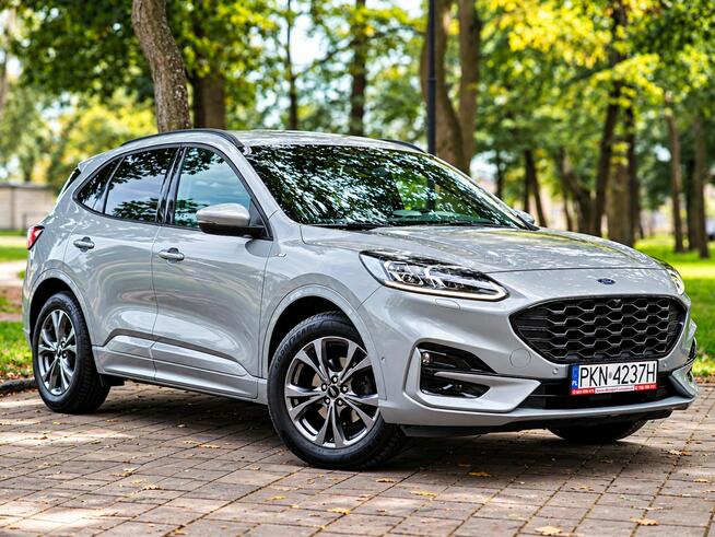 Ford Kuga Sadlno - zdjęcie 3