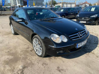Mercedes CLK 200 Piękna czarna bestia:) Kanie - zdjęcie 3