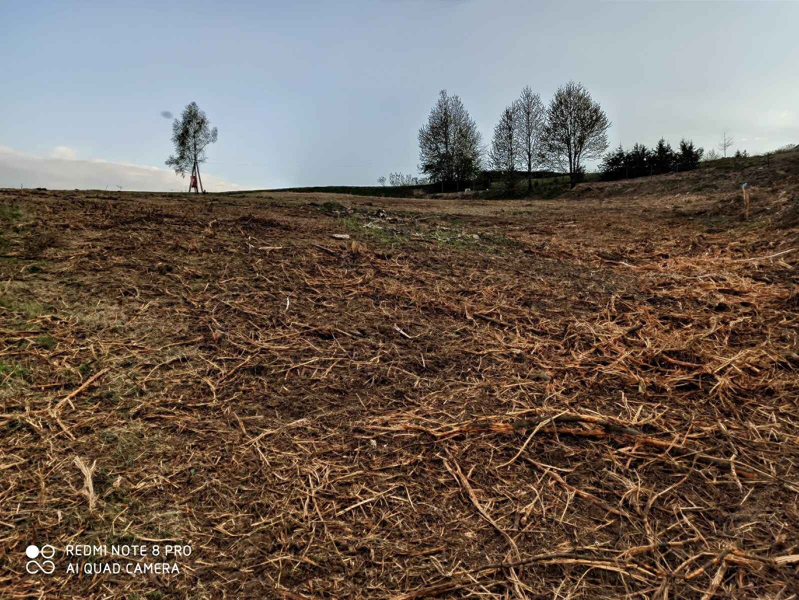 Działka rolno-budowlana (5600m2) ul. Leśna MEDIA (Tuchów) Tuchów - zdjęcie 5