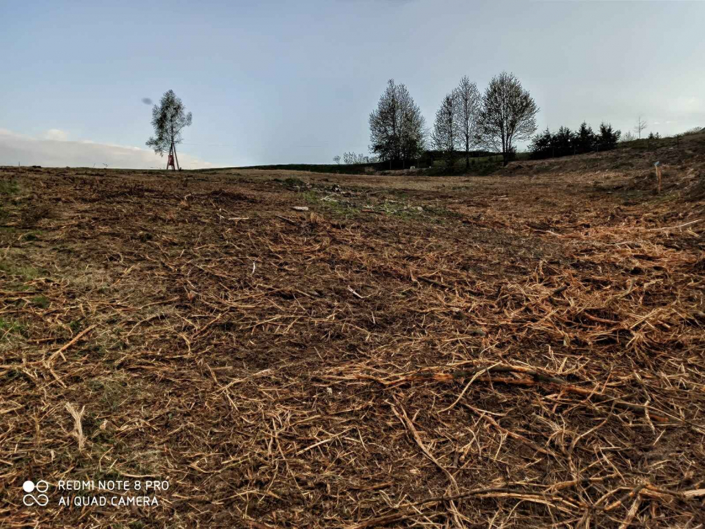Działka rolno-budowlana (5600m2) ul. Leśna MEDIA (Tuchów) Tuchów - zdjęcie 5